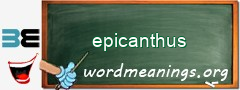 WordMeaning blackboard for epicanthus